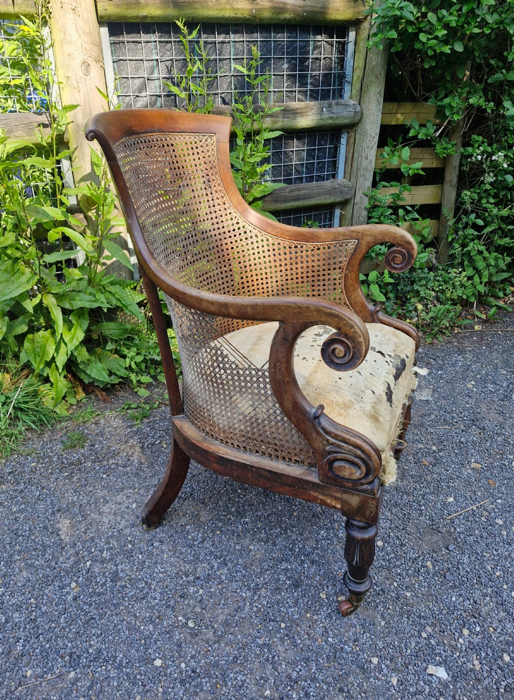 Regency rosewood caned bergere armchair.  View VIII