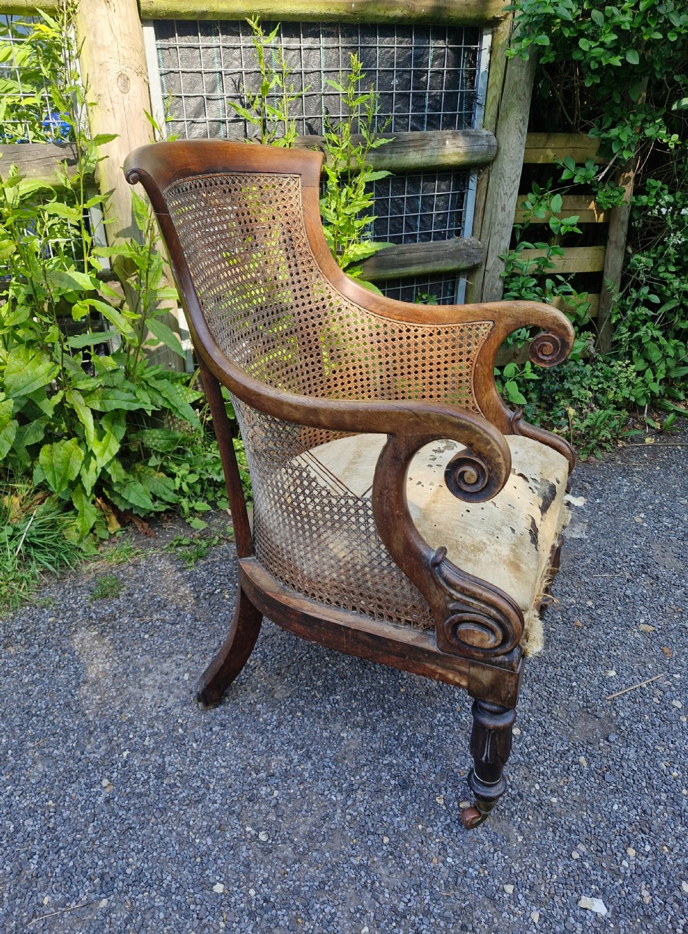 Regency rosewood caned bergere armchair.  View IX