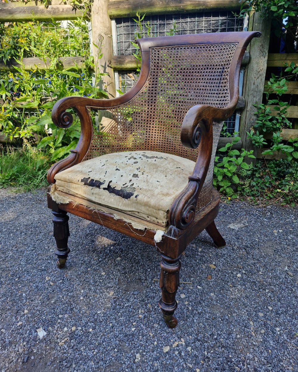 Regency rosewood caned bergere armchair.  View X