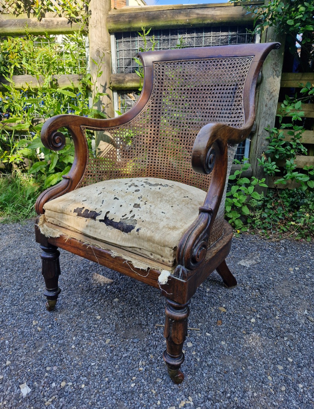 Regency rosewood caned bergere armchair.  View XI