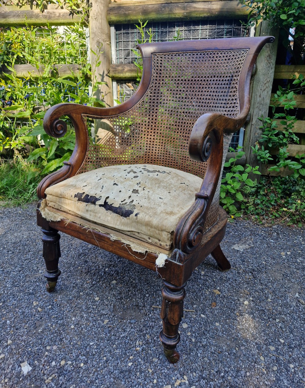 Regency rosewood caned bergere armchair.  View XII