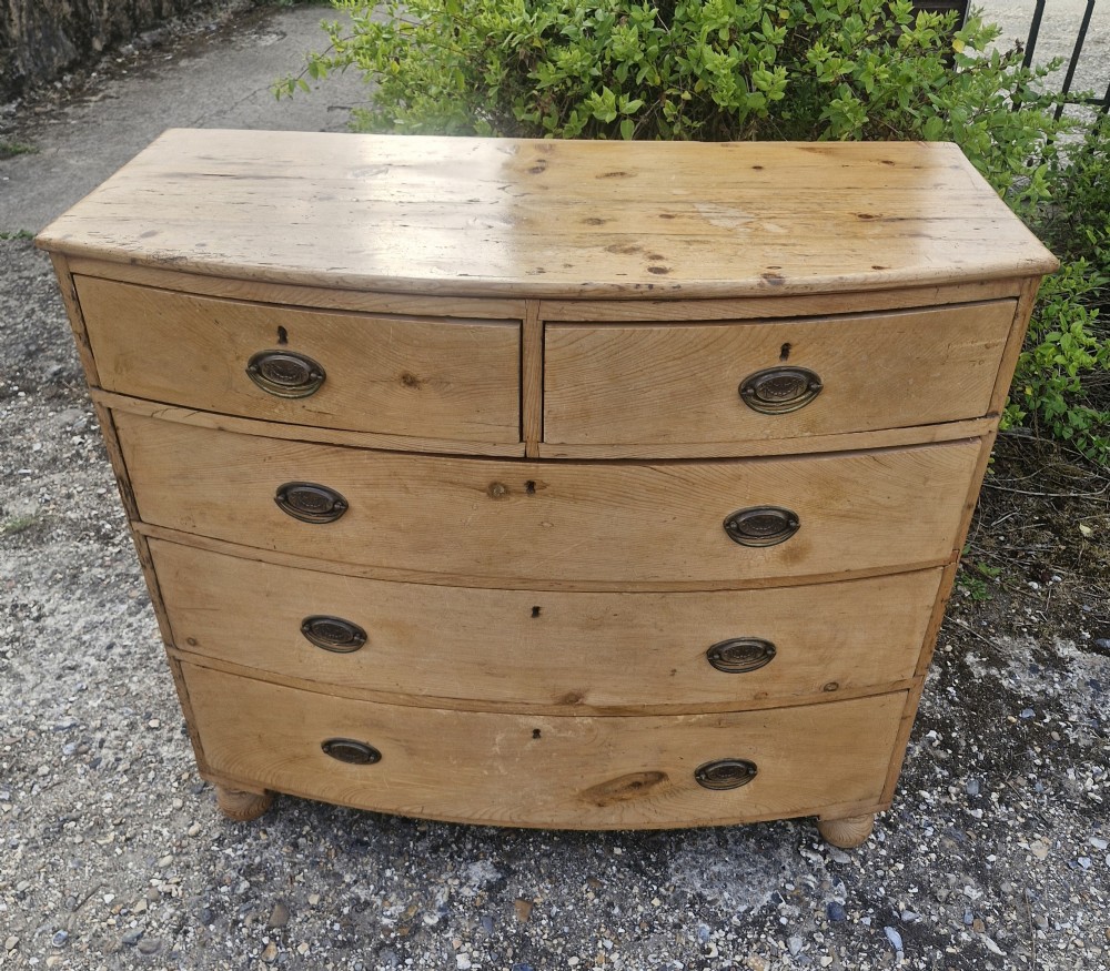 Early Victorian pine bow front chest of drawers.  View V