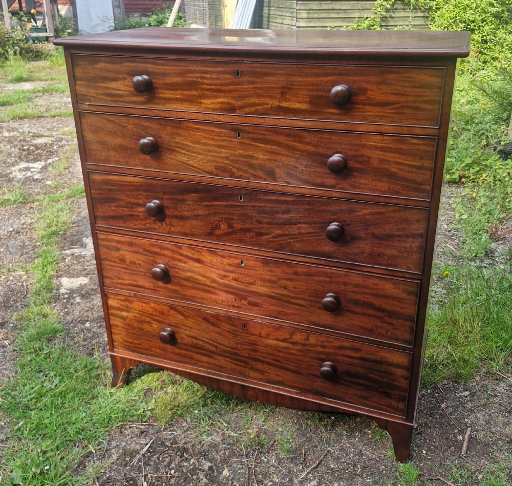 Practical Regency mahogany chest of 5 drawers. 