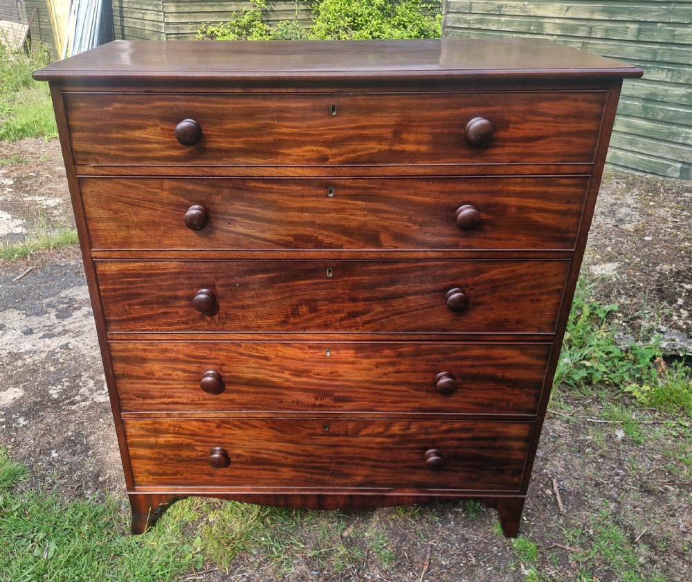 Practical Regency mahogany chest of 5 drawers.  View III