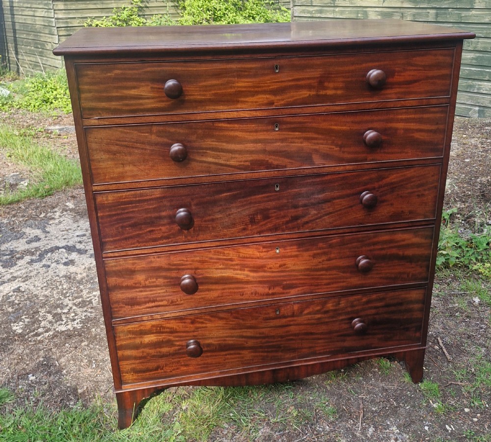 Practical Regency mahogany chest of 5 drawers.  View V