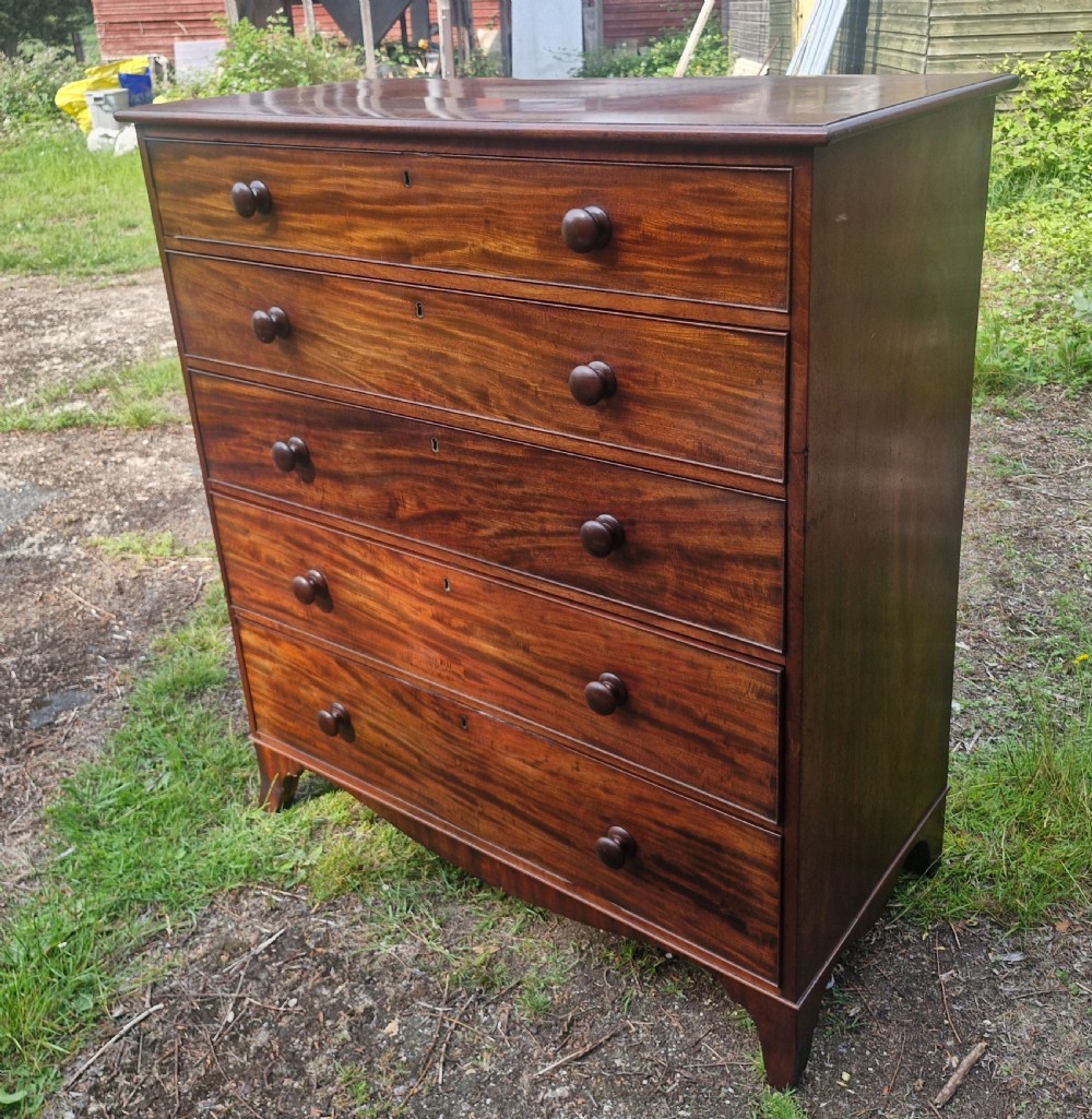 Practical Regency mahogany chest of 5 drawers.  View VI