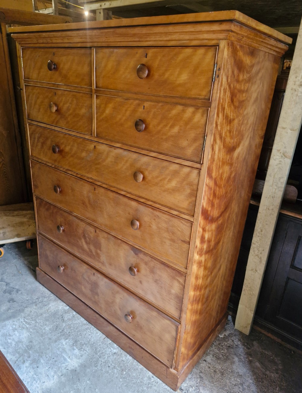 An oversized Victorian satinbirch chest of drawers featuring flame-figured wood grain, turned wooden knobs, and a solid plinth base.