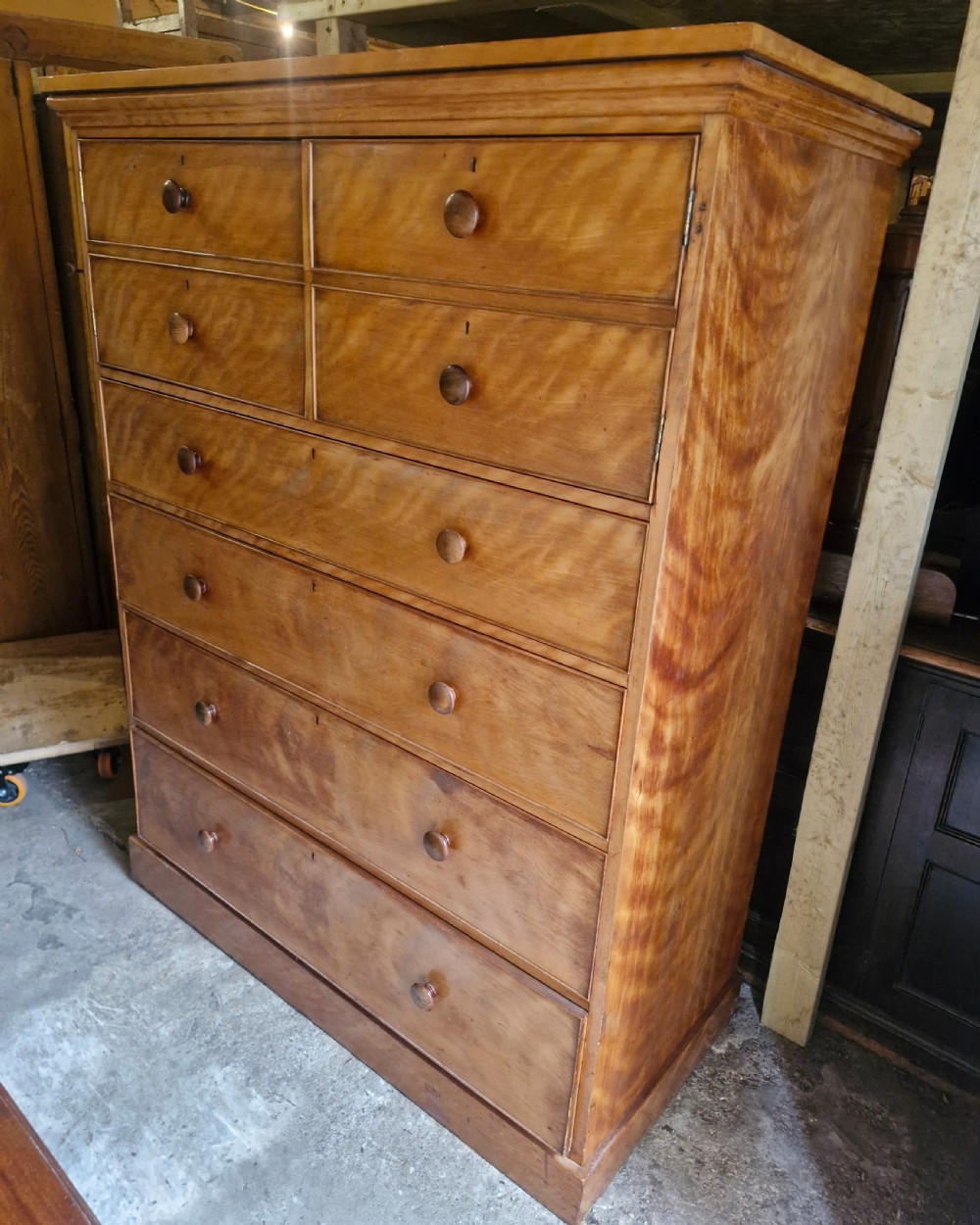 An oversized Victorian satinbirch chest of drawers featuring flame-figured wood grain, turned wooden knobs, and a solid plinth base. View II