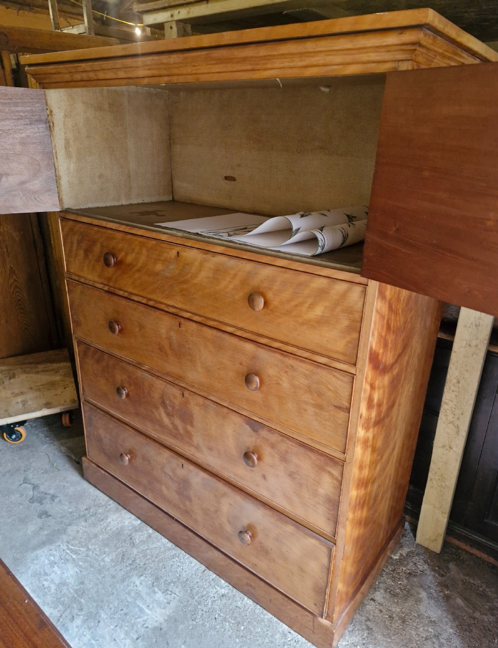 An oversized Victorian satinbirch chest of drawers featuring flame-figured wood grain, turned wooden knobs, and a solid plinth base. View III