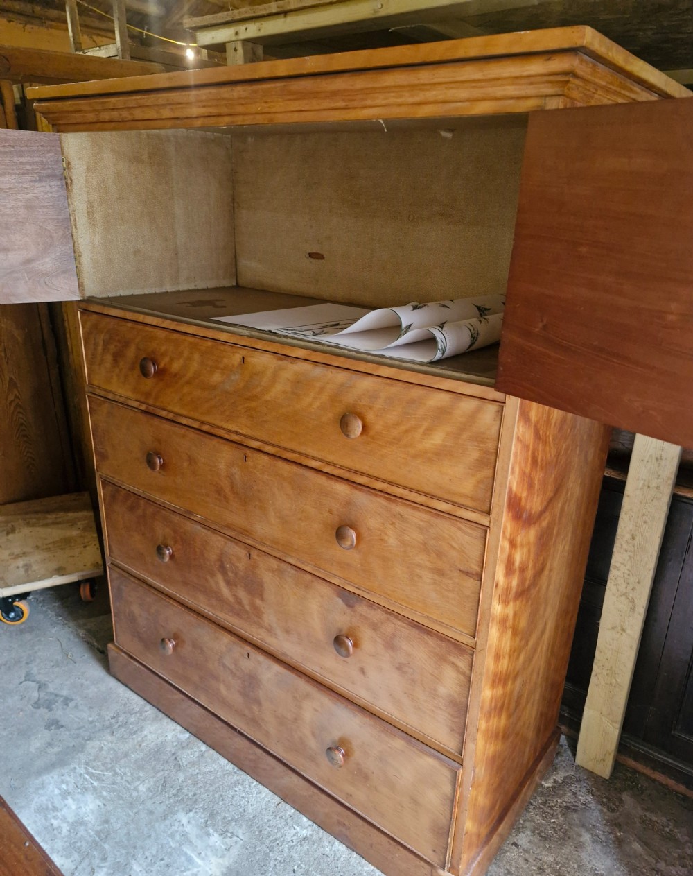 An oversized Victorian satinbirch chest of drawers featuring flame-figured wood grain, turned wooden knobs, and a solid plinth base. View IV