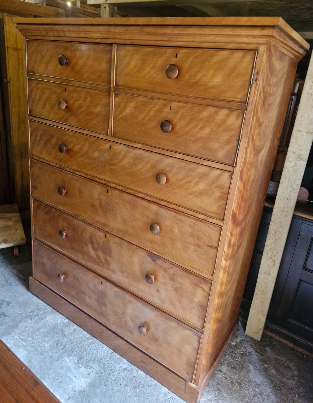 An oversized Victorian satinbirch chest of drawers featuring flame-figured wood grain, turned wooden knobs, and a solid plinth base. View VII