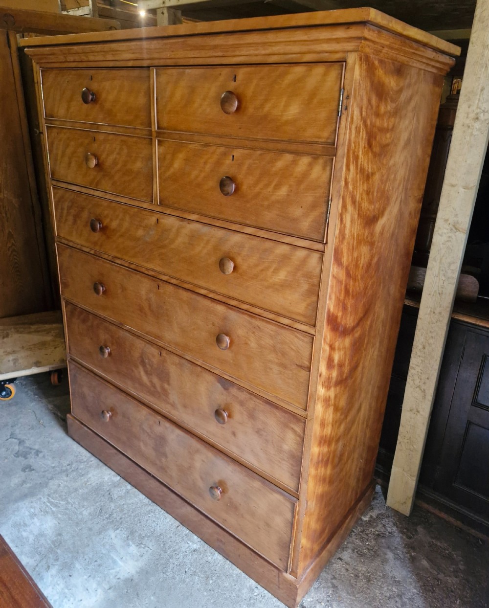 An oversized Victorian satinbirch chest of drawers featuring flame-figured wood grain, turned wooden knobs, and a solid plinth base. View IX
