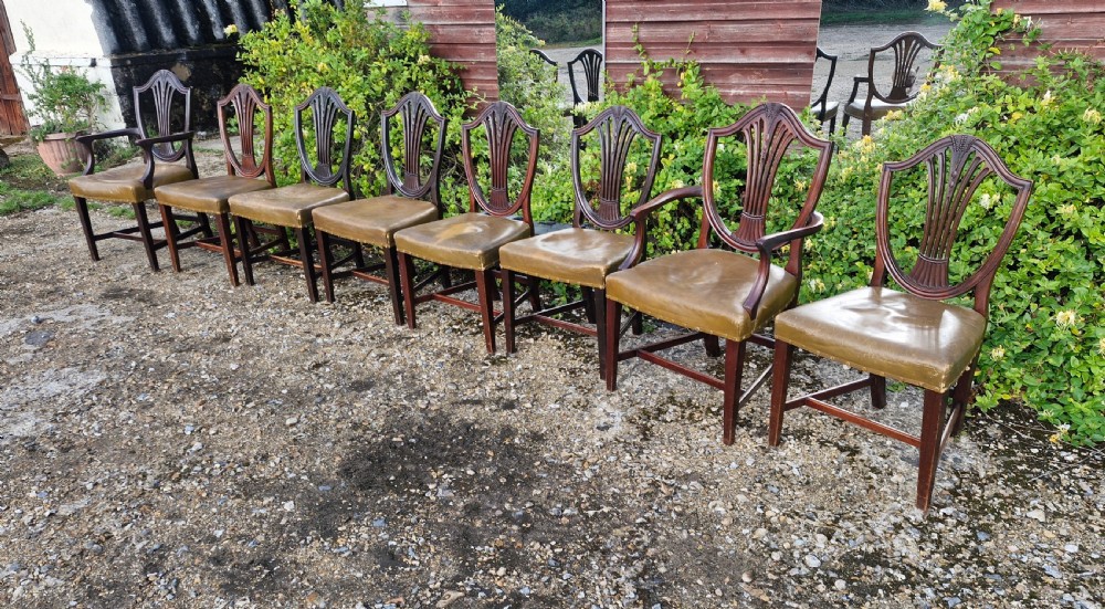 A set of eight mahogany dining chairs with carved shield backrests and leather seats positioned in a line.