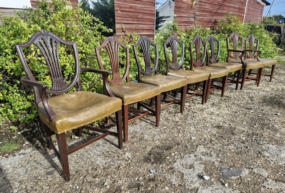 A set of eight mahogany dining chairs with carved shield backrests and leather seats positioned in a line. View IV