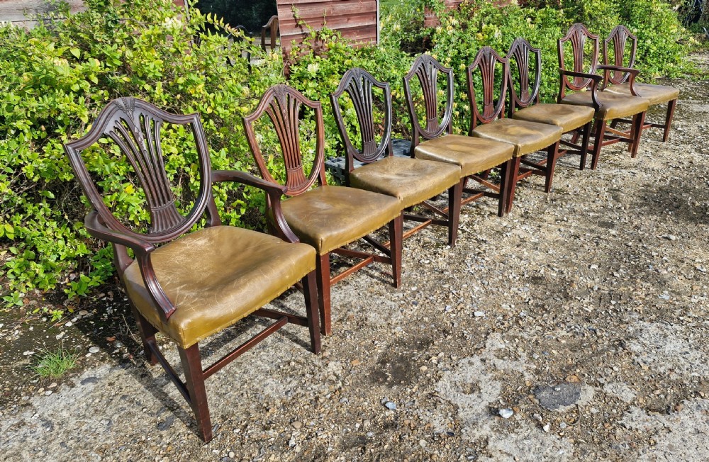 A set of eight mahogany dining chairs with carved shield backrests and leather seats positioned in a line. View V