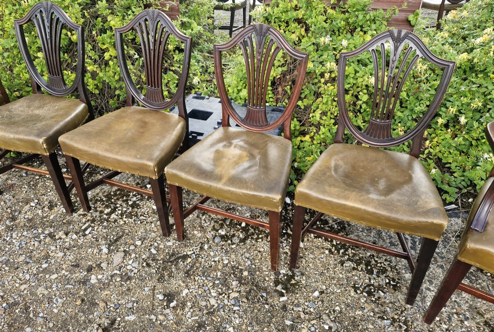 A set of eight mahogany dining chairs with carved shield backrests and leather seats positioned in a line. View VII