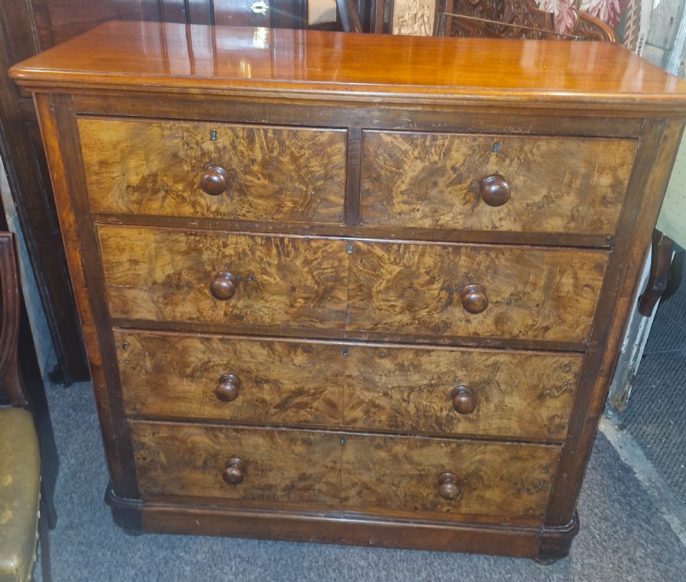 Victorian burr walnut and mahogany chest of drawers. 