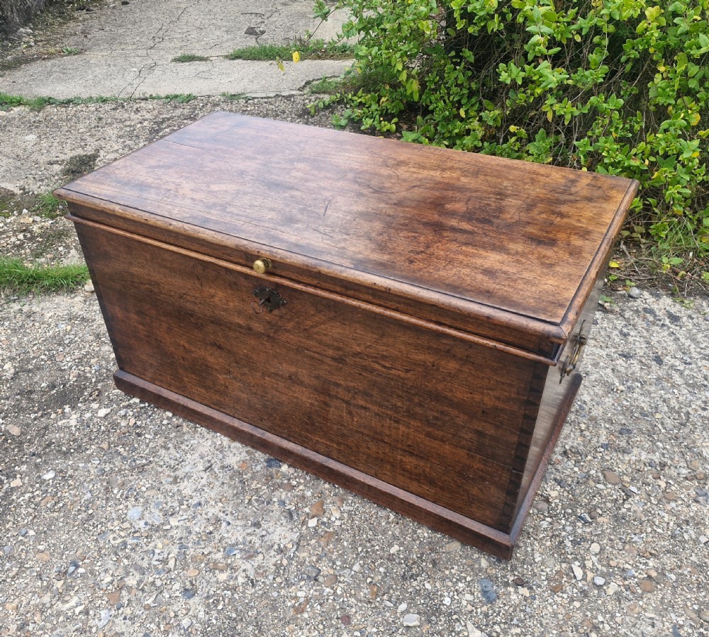 Regency mahogany mahogany trunk. View III