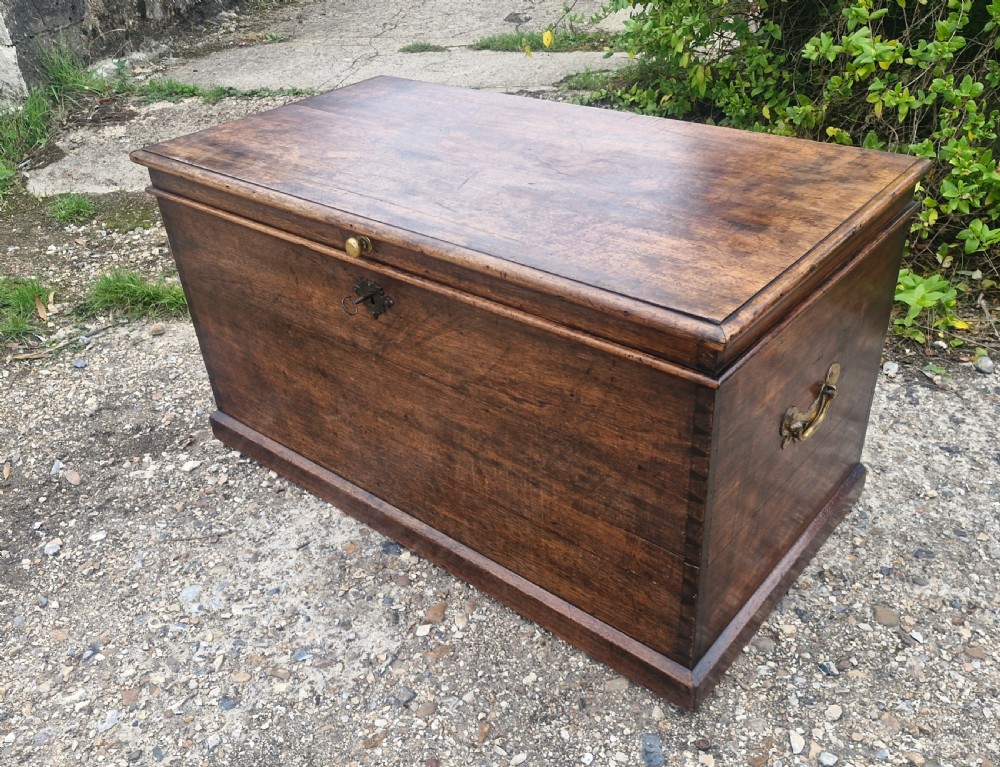 Regency mahogany mahogany trunk. View IV