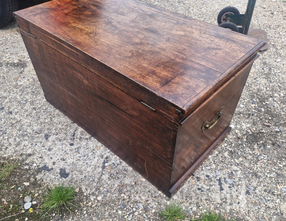 Regency mahogany mahogany trunk. View VII