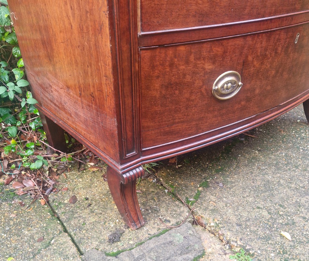 Regency mahogany bow front chest of drawers. With sabre front legs. View V