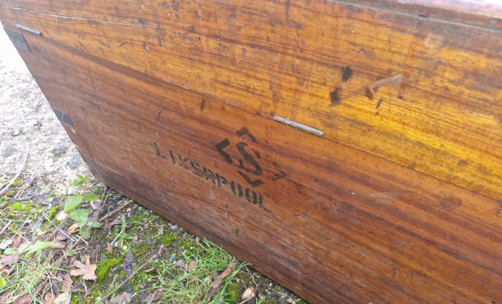 Camphor wood travelling trunk View II