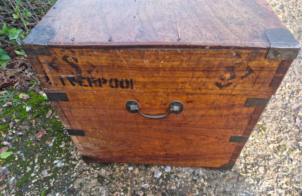 Camphor wood travelling trunk View III
