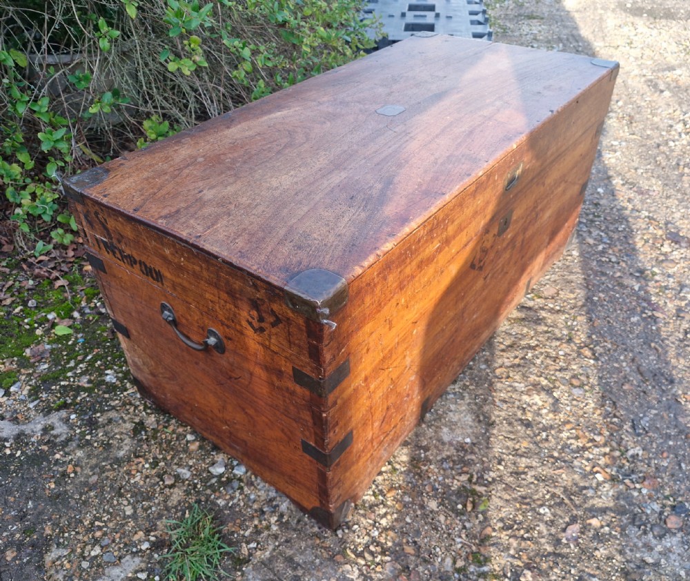 Camphor wood travelling trunk View VI