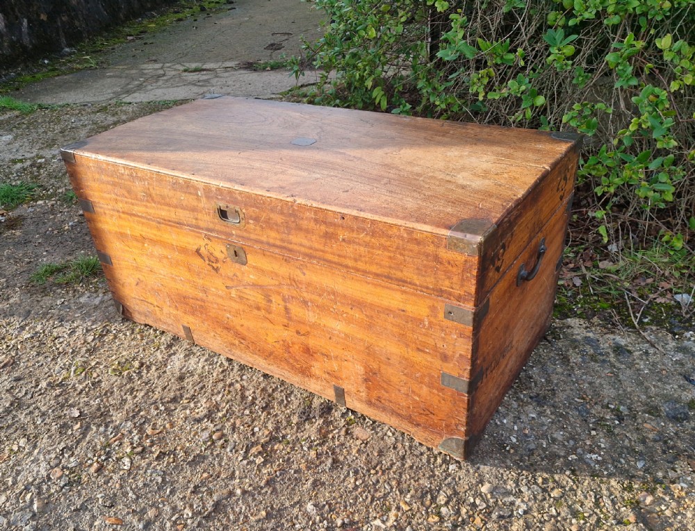 Camphor wood travelling trunk View VII