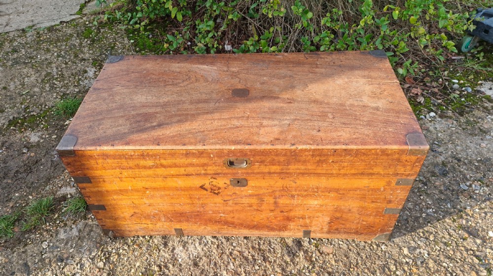 Camphor wood travelling trunk View VIII
