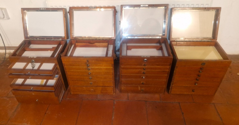 4 early 20th century mahogany specimen chests with carrying handles. 
