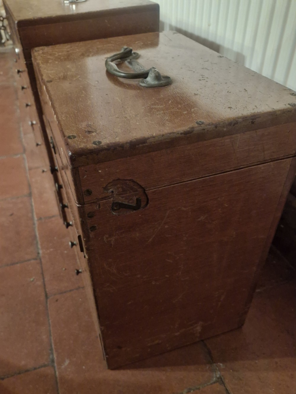 4 early 20th century mahogany specimen chests with carrying handles.  View VII