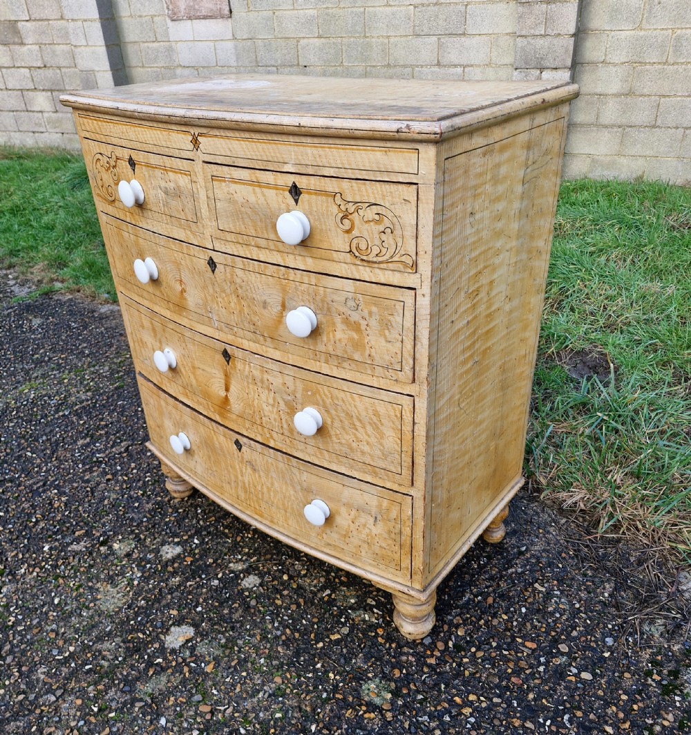 Original untouched painted pine bow front chest of drawers.  View IV