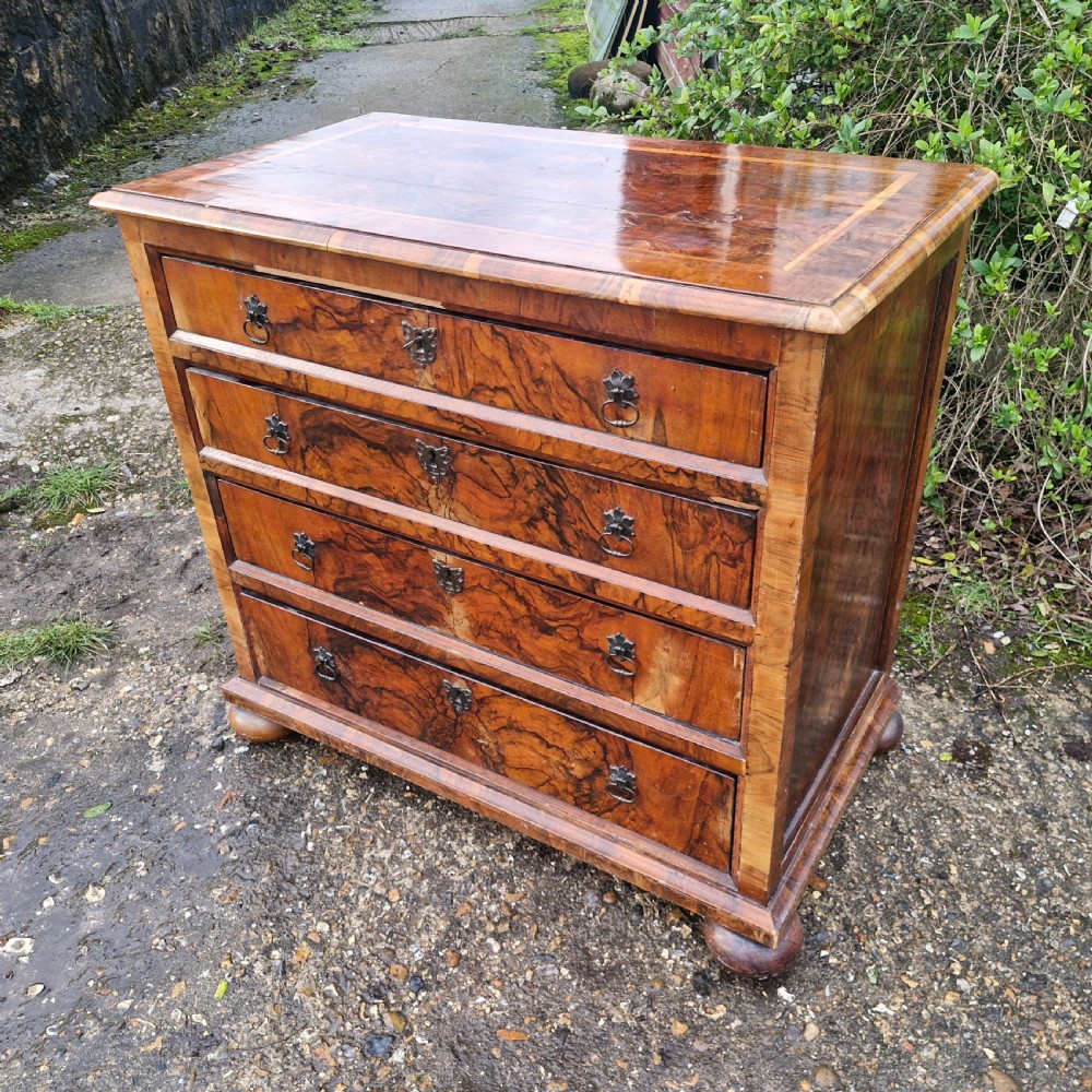 An antique walnut chest of four drawers featuring highly figured burr veneers, inlaid crossbanding, metal handles, and turned bun feet.