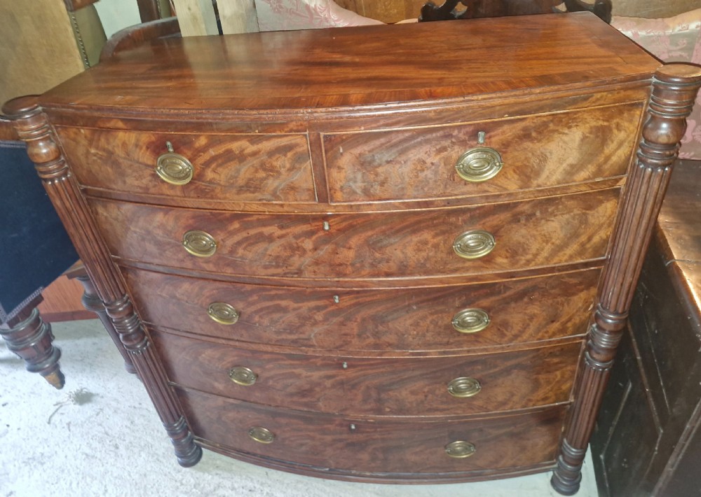 A Regency mahogany bow-front chest of drawers featuring two short over three long drawers with flame mahogany veneers, reeded side columns, and oval brass handles.
