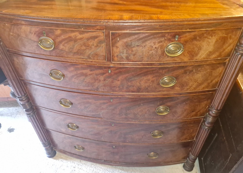 A Regency mahogany bow-front chest of drawers featuring two short over three long drawers with flame mahogany veneers, reeded side columns, and oval brass handles. View IV
