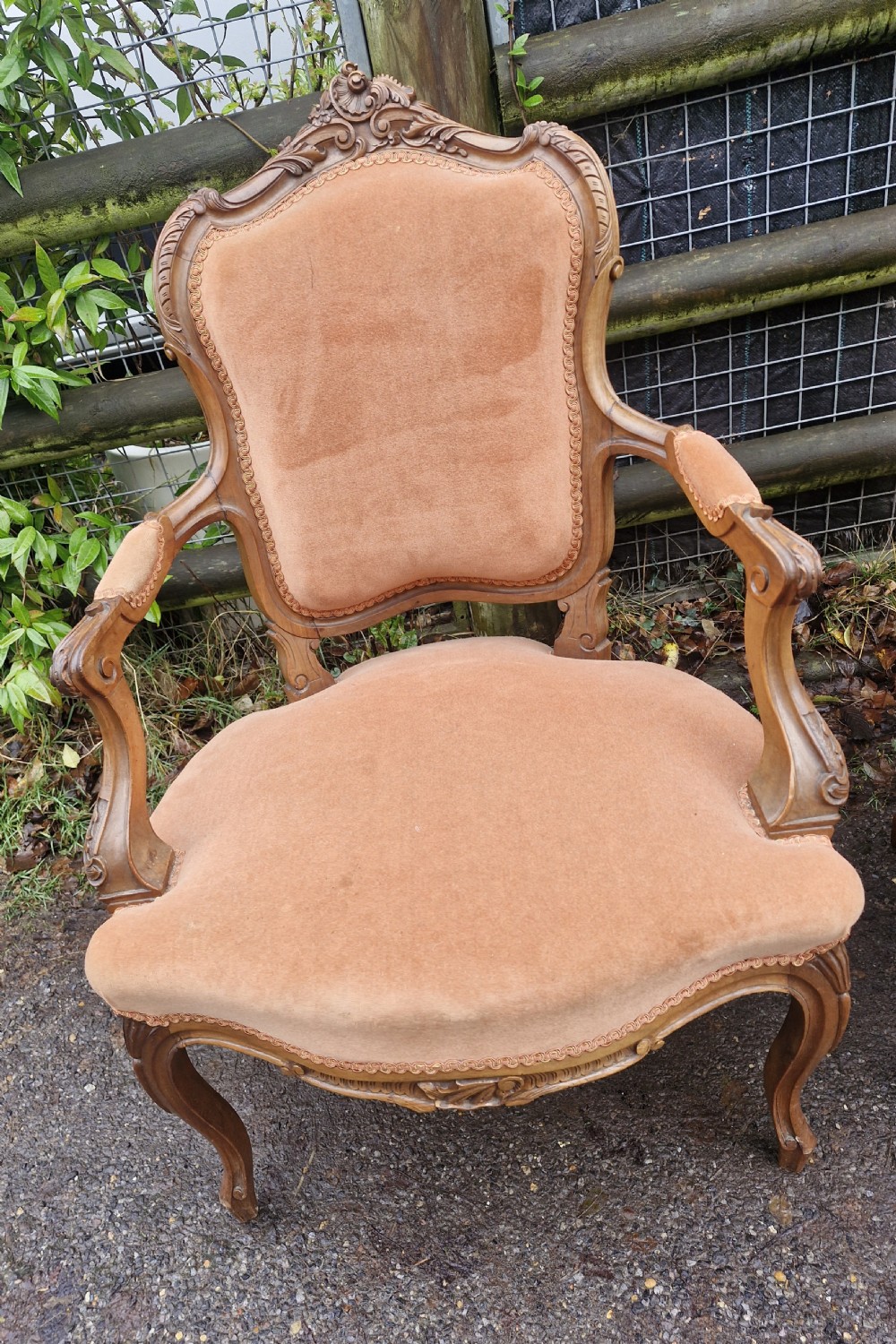 A pair of French Louis XV style carved walnut fauteuil armchairs with open padded armrests and peach velvet upholstery. View IV