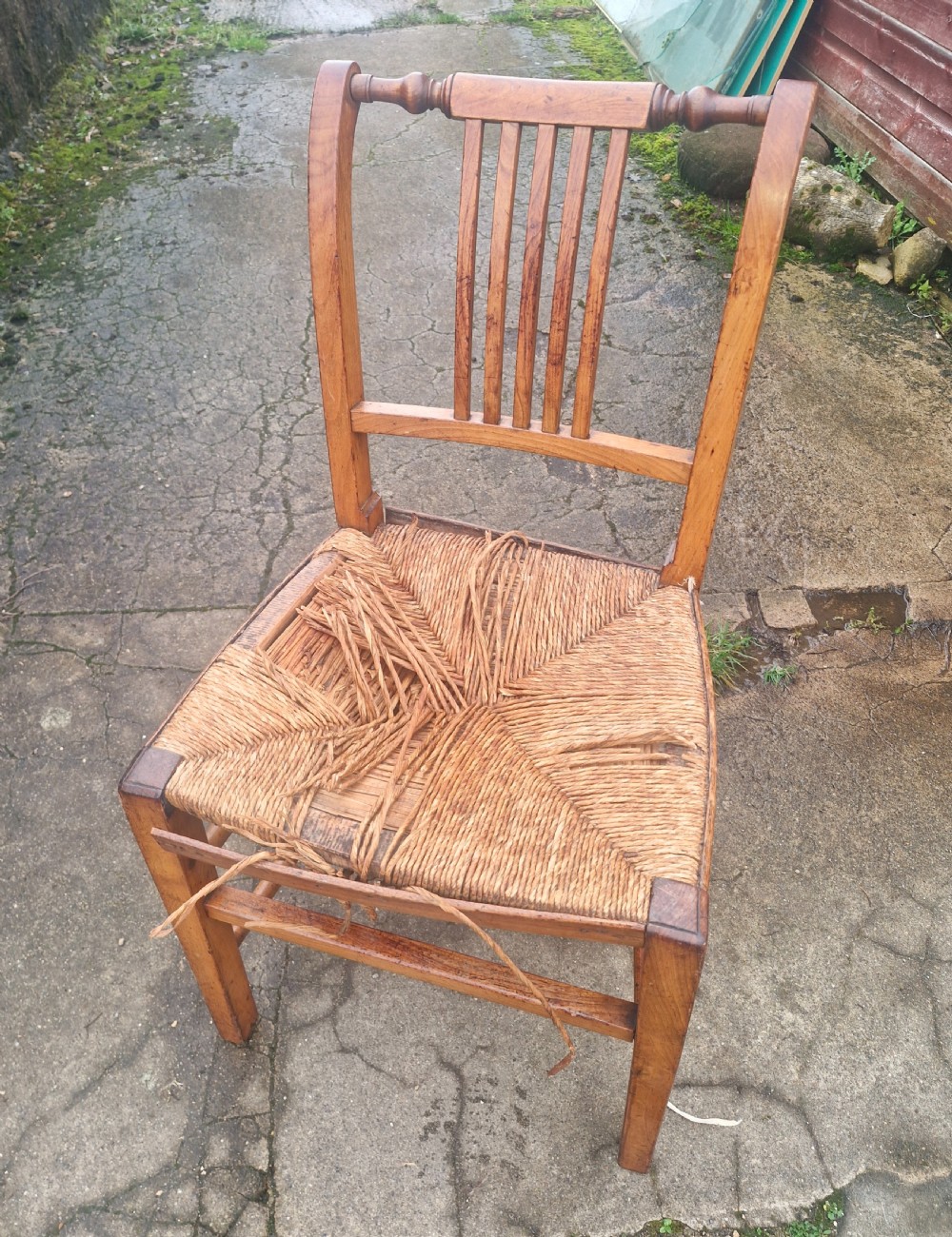 Set of 6 early Victorian rush seat East Anglia dining chairs.  View VII