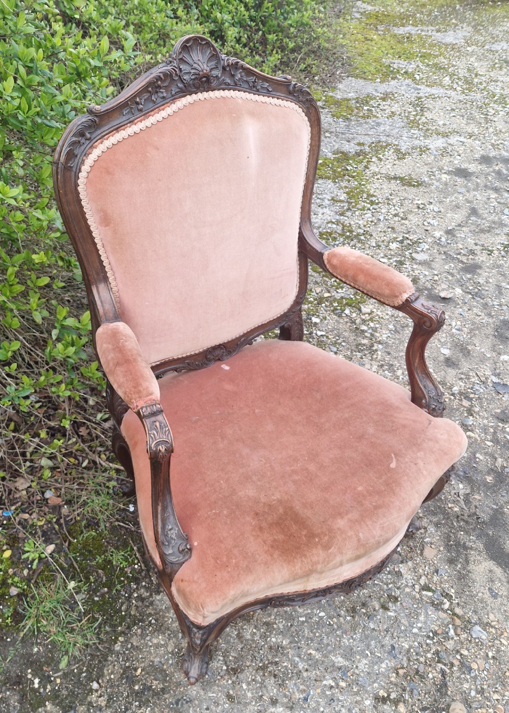 Late 19th century carved walnut open fauteuil armchair.  View II