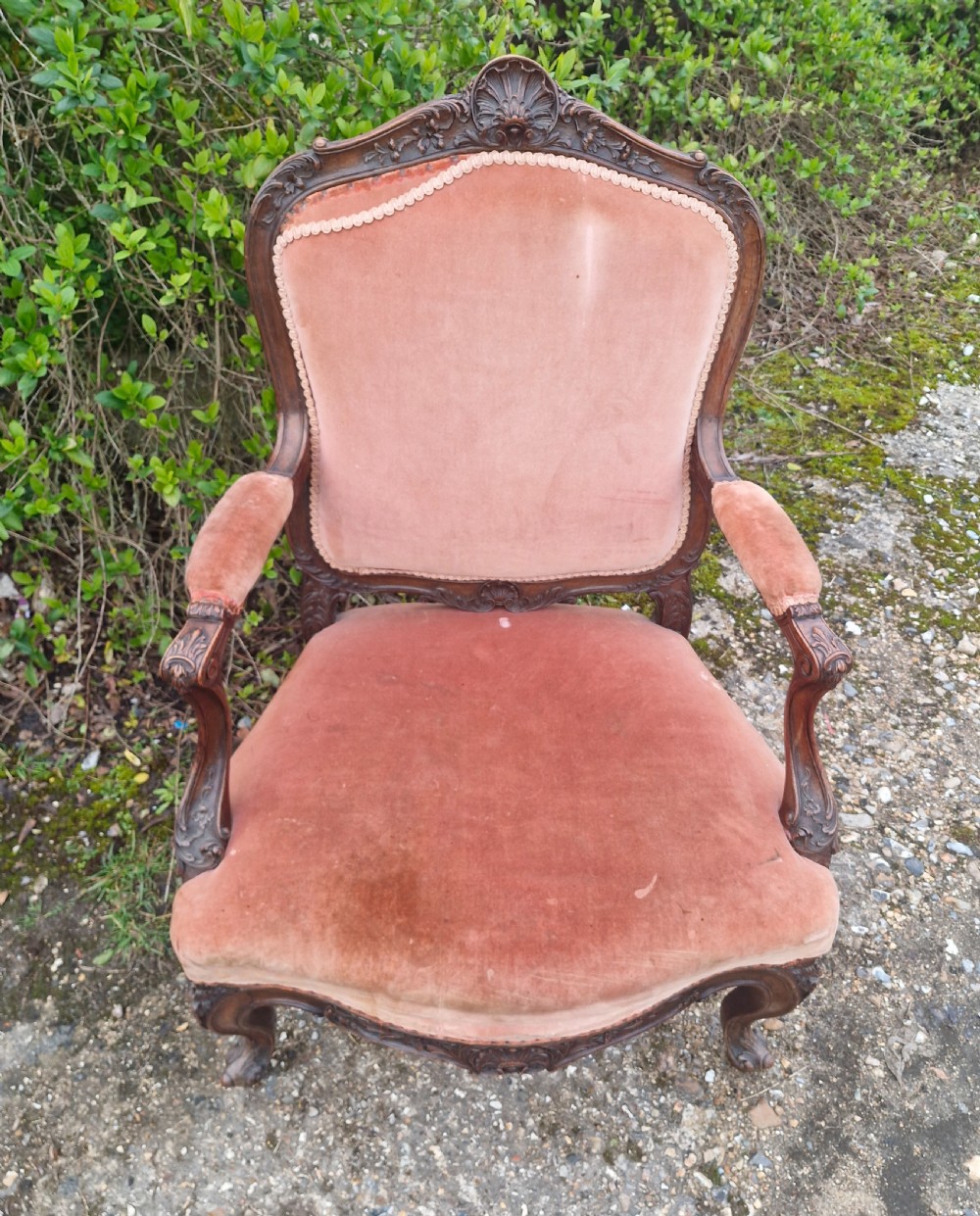 Late 19th century carved walnut open fauteuil armchair.  View V
