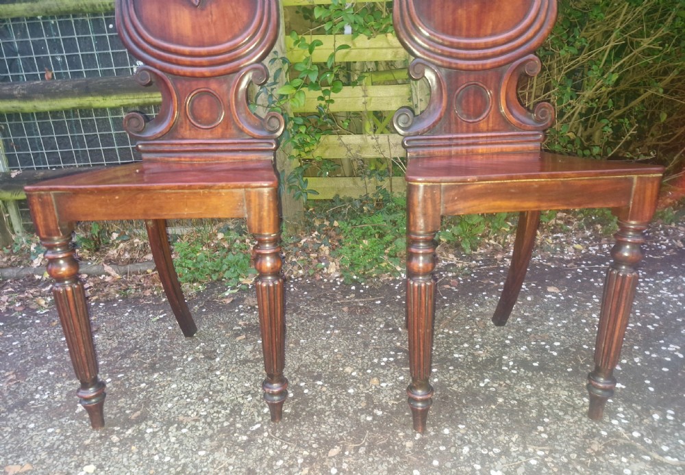 Pair of Regency mahogany hall chairs.  View III