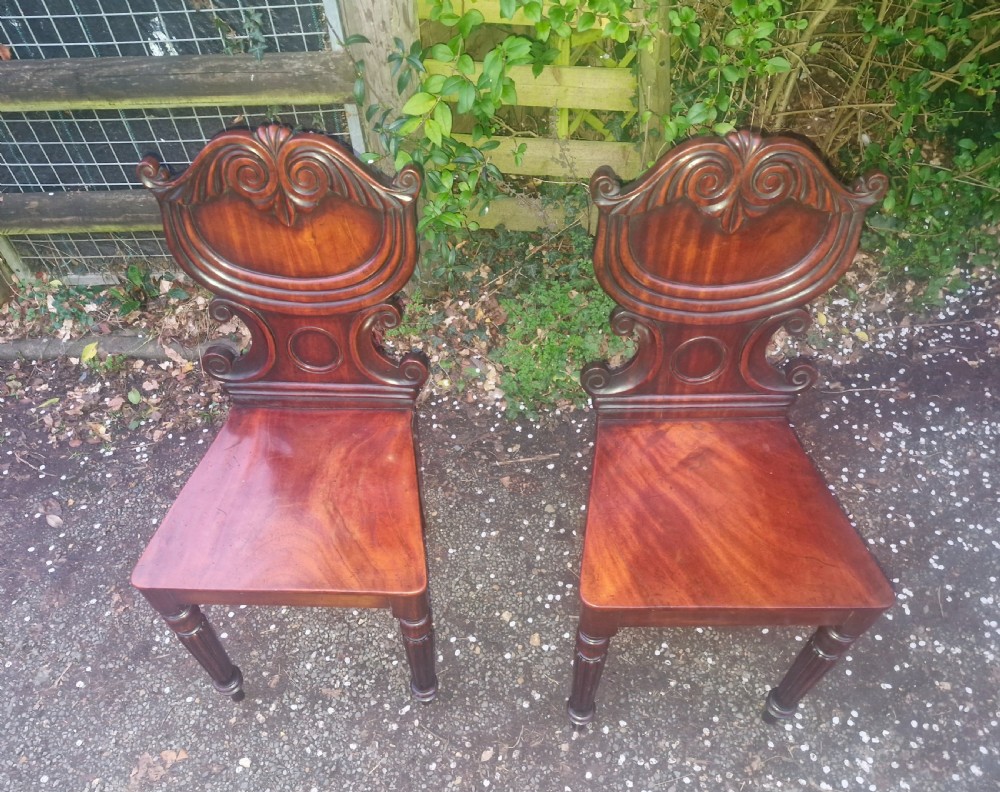 Pair of Regency mahogany hall chairs.  View V