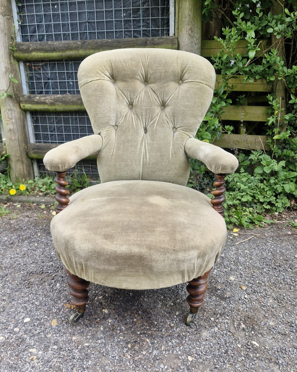 A mid-Victorian armchair upholstered in sage green velvet featuring a deep buttoned backrest, padded arms on barley twist supports, and turned legs with castors.