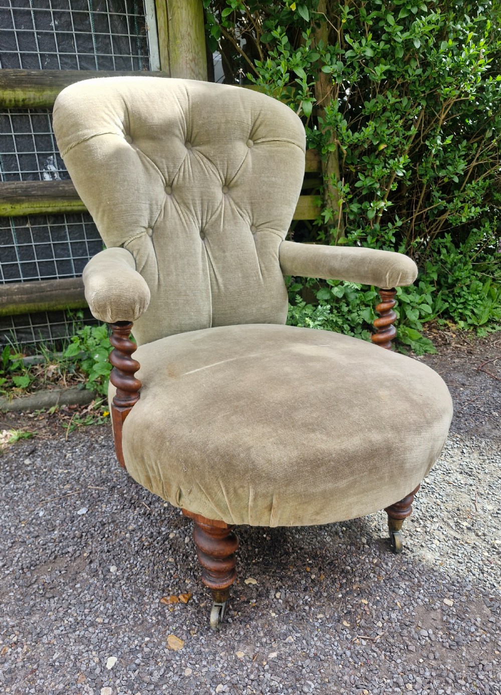 A mid-Victorian armchair upholstered in sage green velvet featuring a deep buttoned backrest, padded arms on barley twist supports, and turned legs with castors. View V