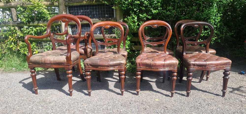 A set of eight Victorian mahogany dining chairs featuring curved balloon backs, turned front legs, and button-tufted brown leather seats. View III