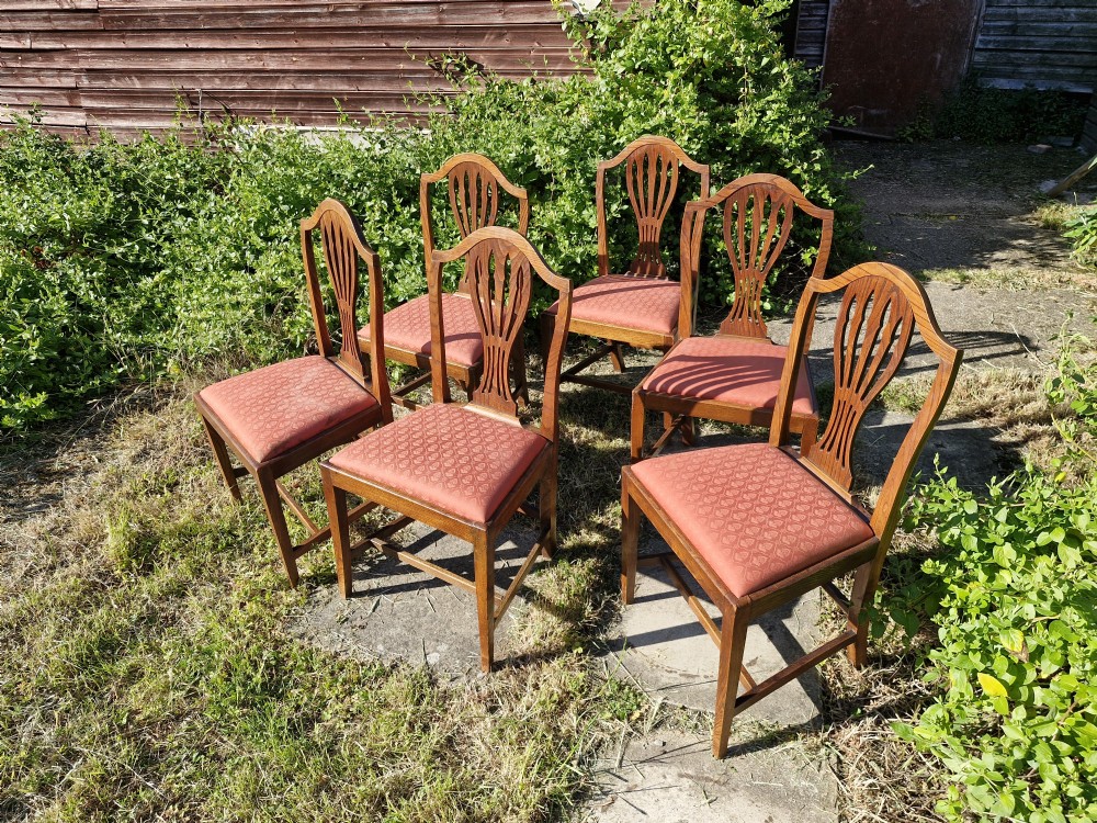 Set of 6 Regency elm Hepplewhite style dining chairs. 