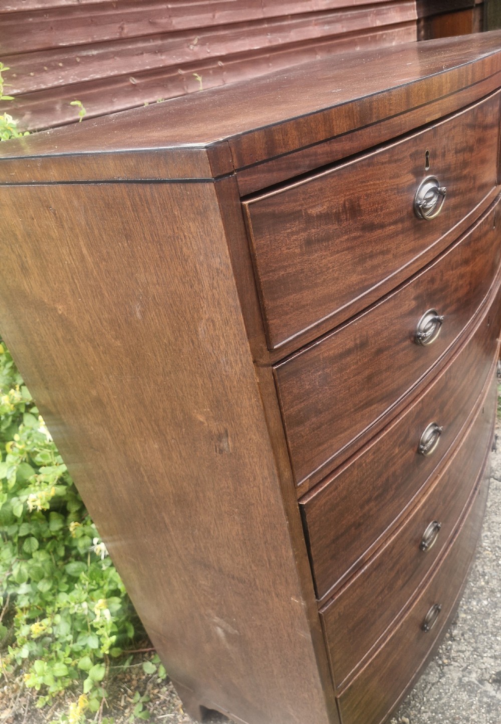 A Regency mahogany bow front chest of drawers featuring two short over three long graduated drawers with brass handles and splayed bracket feet. View II