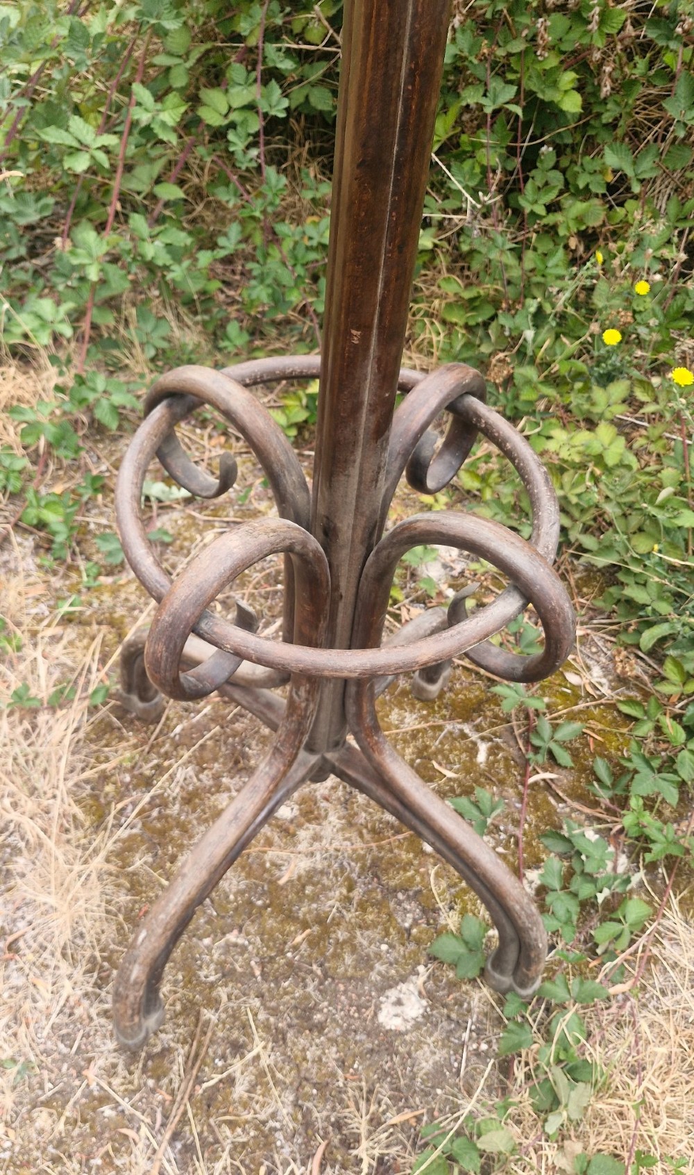 An early twentieth-century dark brown bentwood freestanding hat and coat stand featuring scrolled upper hooks, a mid-height umbrella ring, and splayed legs. View III