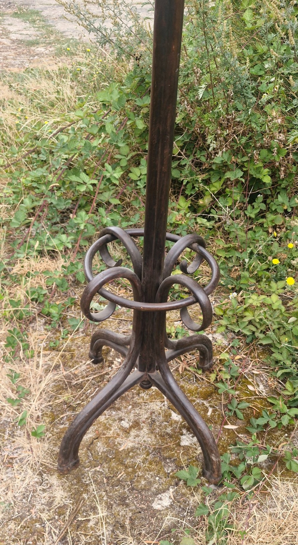 An early 20th-century dark brown steam-bent beechwood freestanding hat and coat stand featuring curved upper hooks and an integrated lower umbrella ring. View II