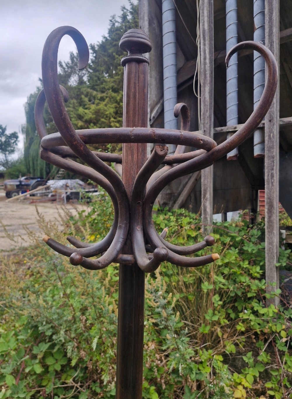 An early 20th-century dark brown steam-bent beechwood freestanding hat and coat stand featuring curved upper hooks and an integrated lower umbrella ring. View IV